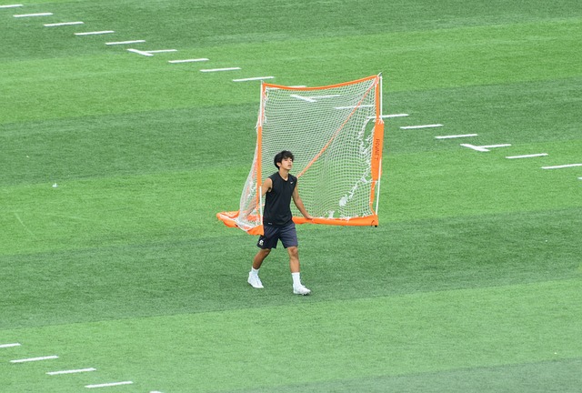 增光添彩