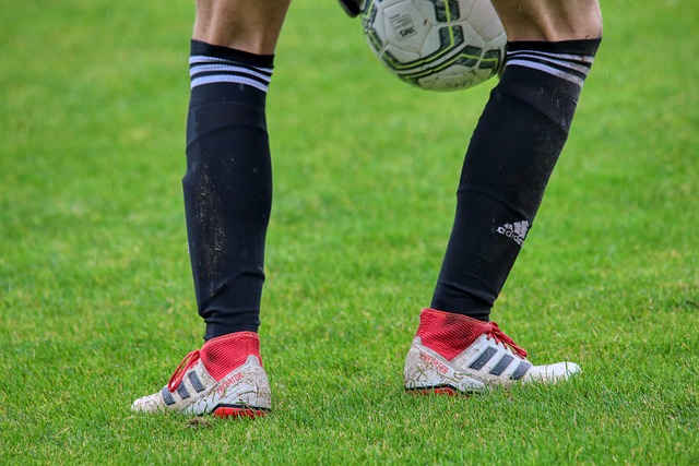 尤其是他的 尤其是他的