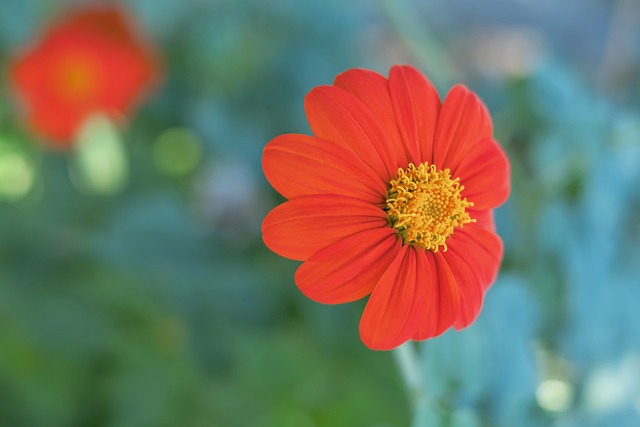 更反映了体 更反映了体