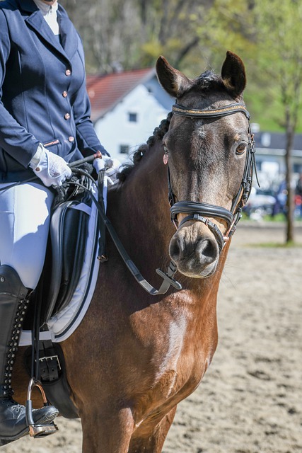 牵动着观众 牵动着观众