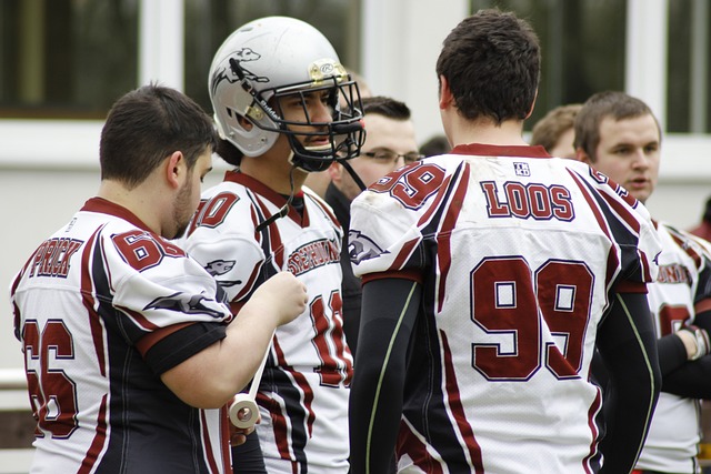 商业版图的 商业版图的