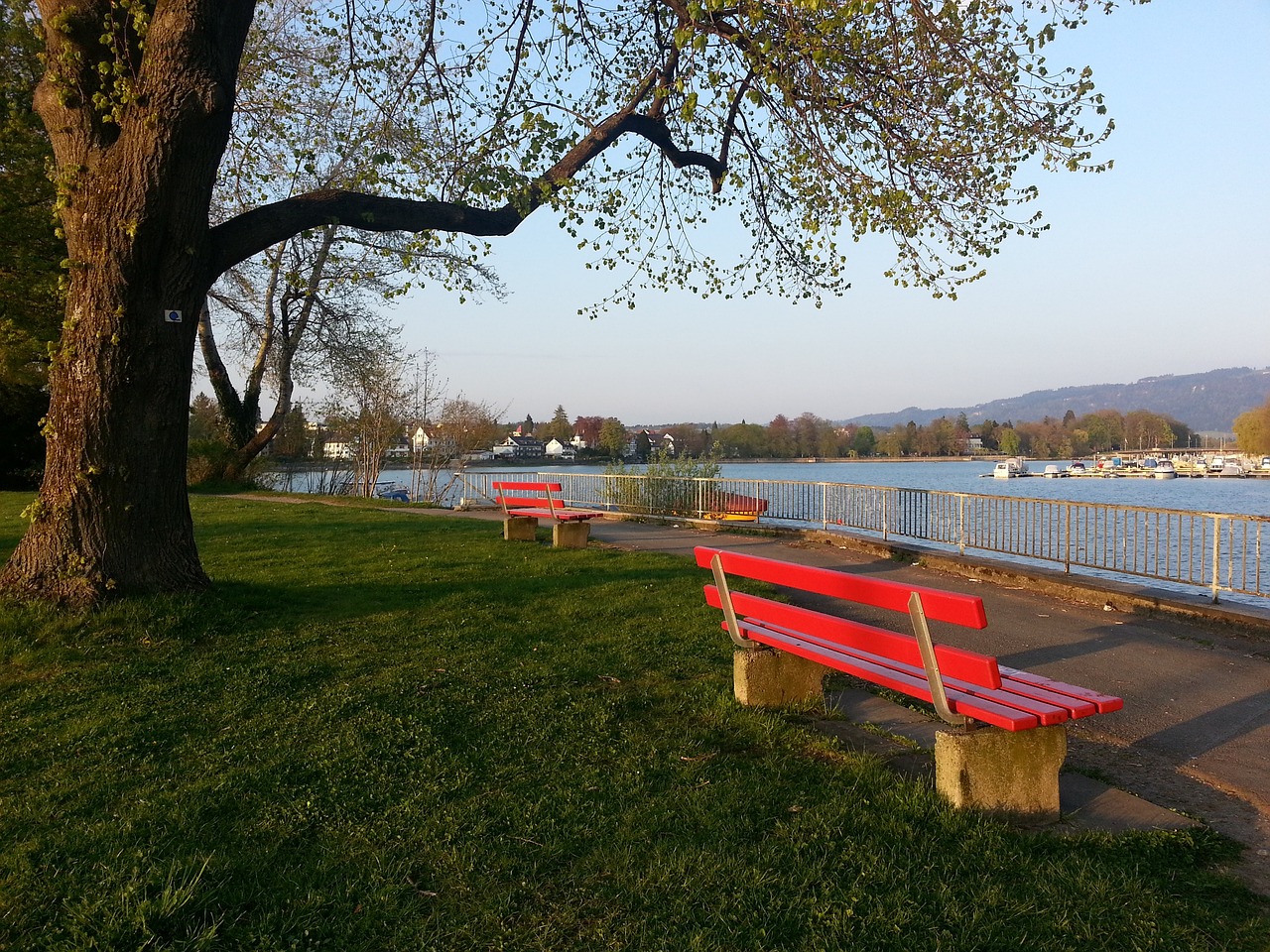 性和强大的 性和强大的