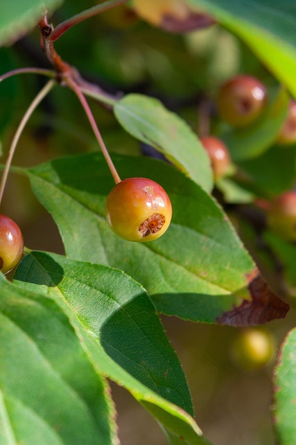 这种熟悉可 这种熟悉可