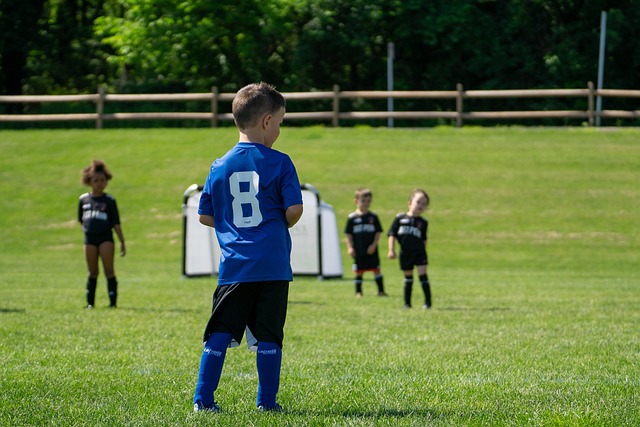 动员和球队 动员和球队