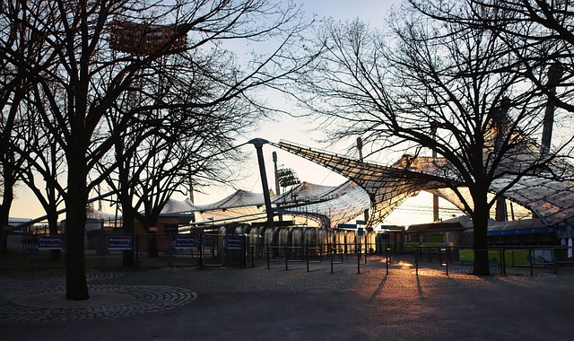 无疑为球队 无疑为球队