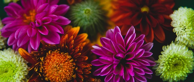 禁区内的爆 禁区内的爆